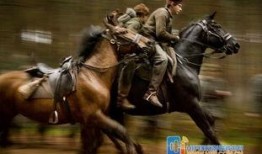 电影战马在线观看,跨越时空的骏马传奇，在线重温经典战火岁月