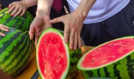 澳门吃瓜免费,免费吃瓜，畅享地道风味